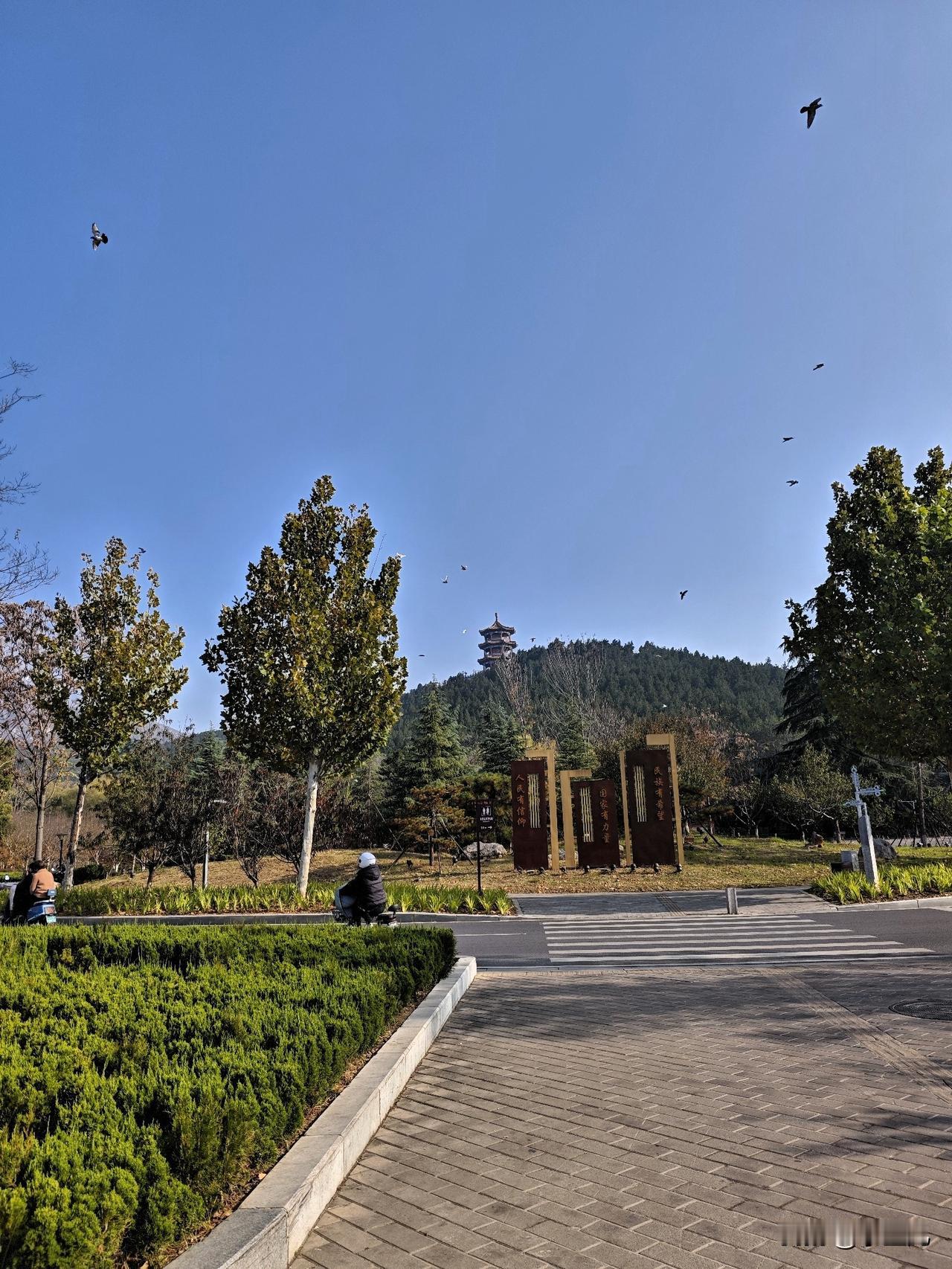 周末去公园遛弯，天气特别给力，蓝天像被洗过一样透亮。风里带着点凉意，吹在脸上特别