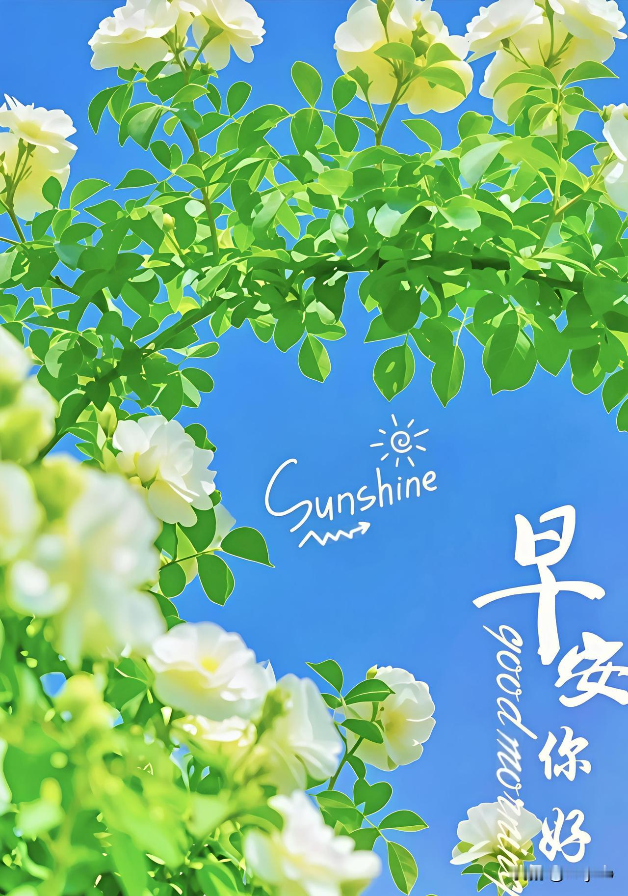 美好的清晨，暖心的问候;愿新的一日，快乐且温柔。天地存暖意，人间有温情;彼