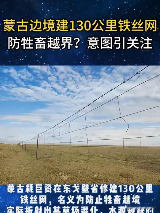 砸3600万美元修铁丝网：蒙古国正用围栏将自己“活埋”于戈壁滩·2025年4