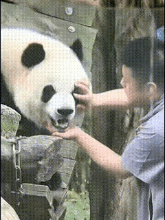 奇三妹和墩墩外公是不是越长越像？每次三妹和外公在一起时，谁养的像谁这句话的含金量