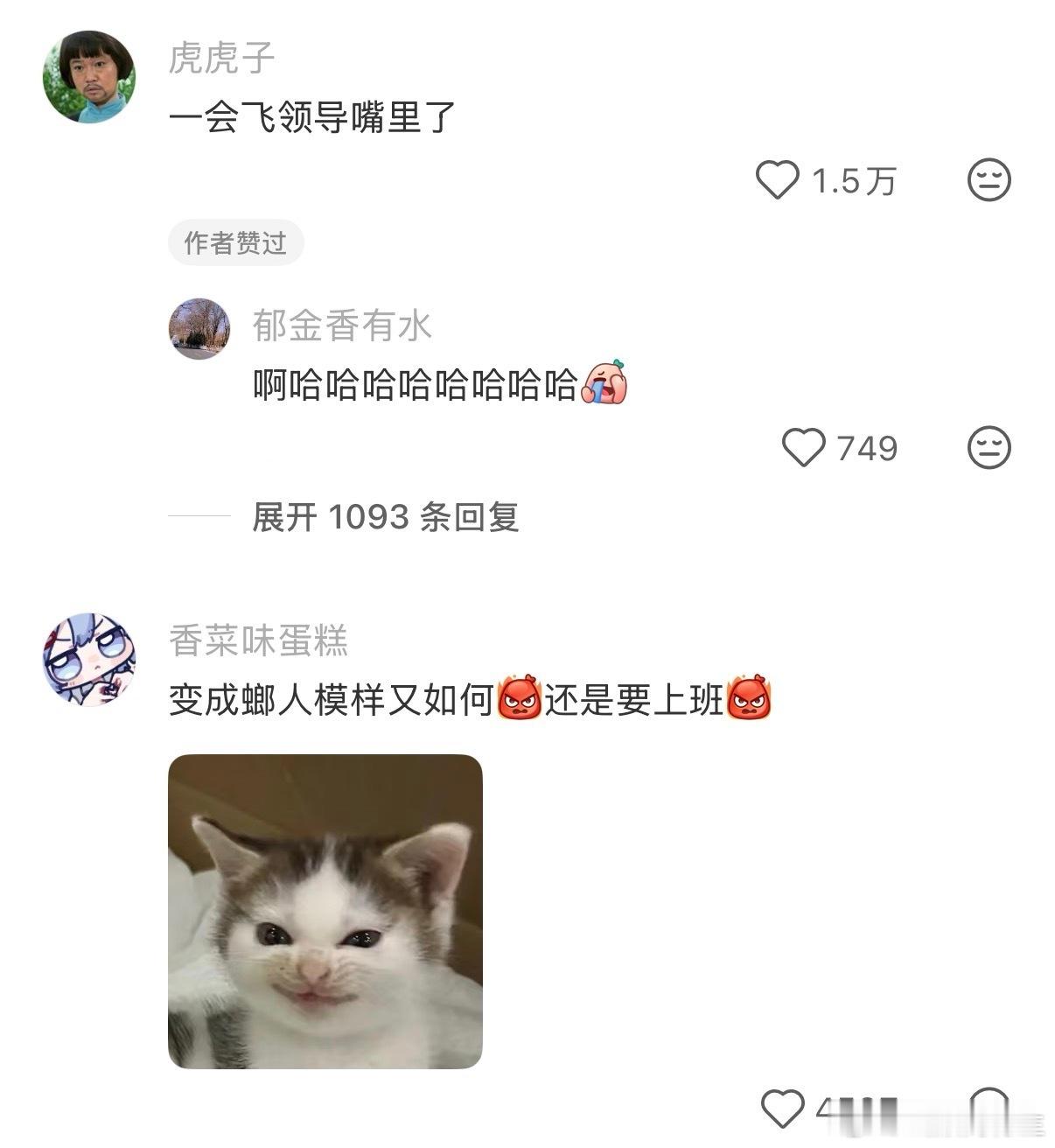 同事的超前进化形态