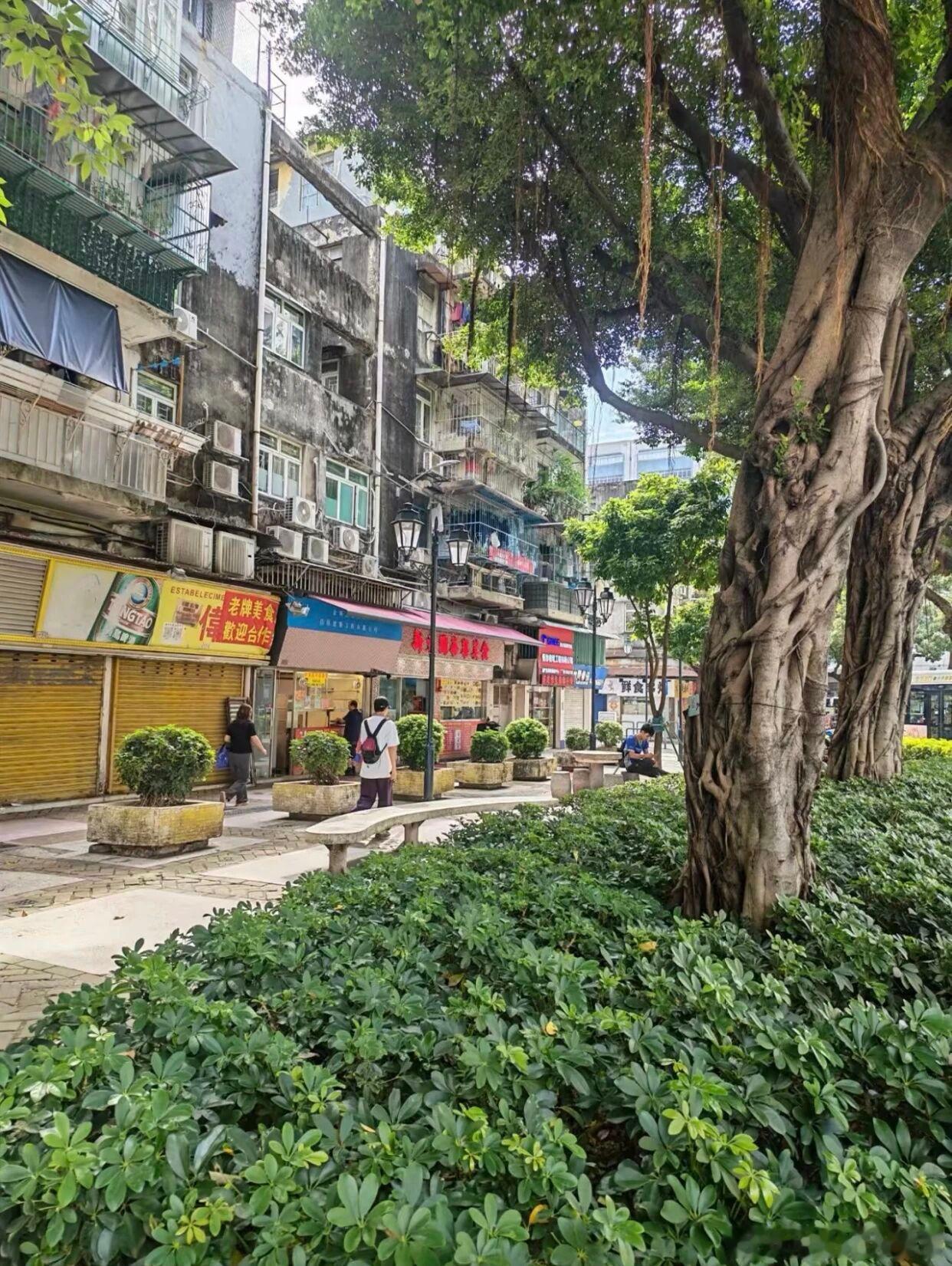 在香港，为什么不能问路？感觉被歧视了，用普通话问路，人家爱搭不理的。后来用英文问