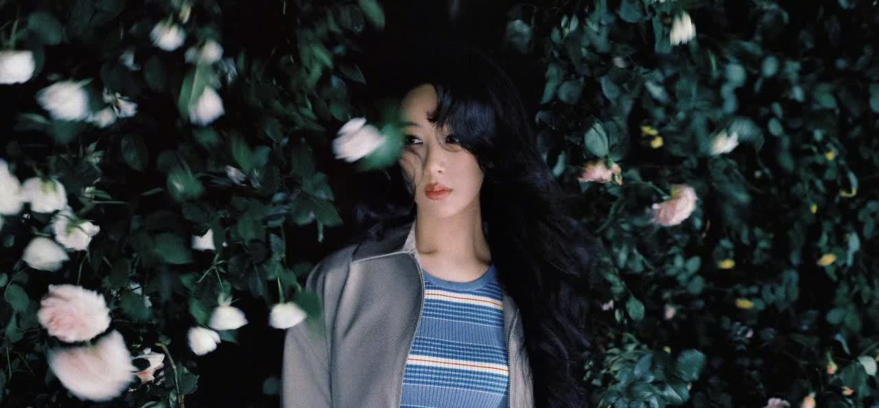 杨紫是娱乐圈中情商较高的女星吗？有个人提到杨紫，大概说的是：“虽然没看过几部
