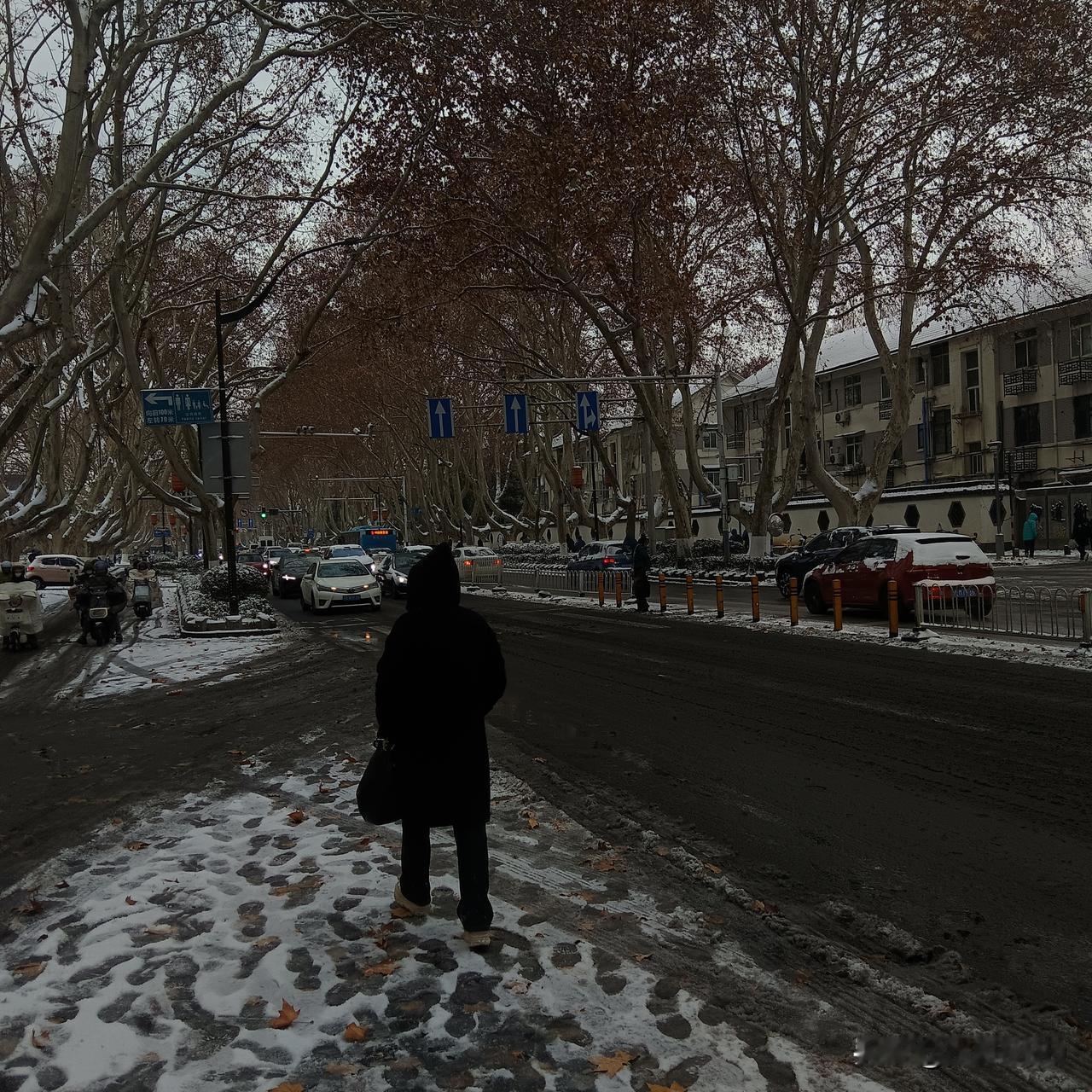 撞碎中山东路“雪锅”：南京脸面皮被冰刀划破凌晨五点，我开车拐进中山东路，车灯