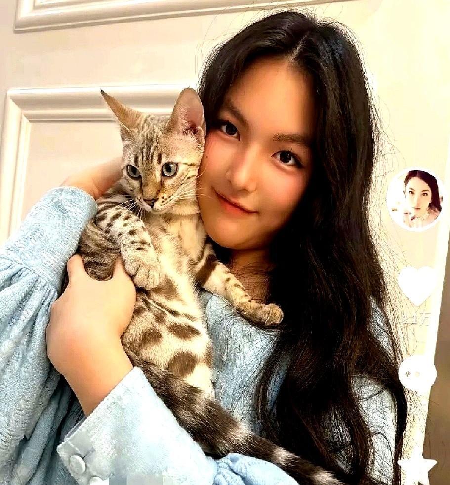 凌晨半点的手机光，李湘没睡，晒出一张女儿和猫的合影。小姑娘披着长发，眼神像已经