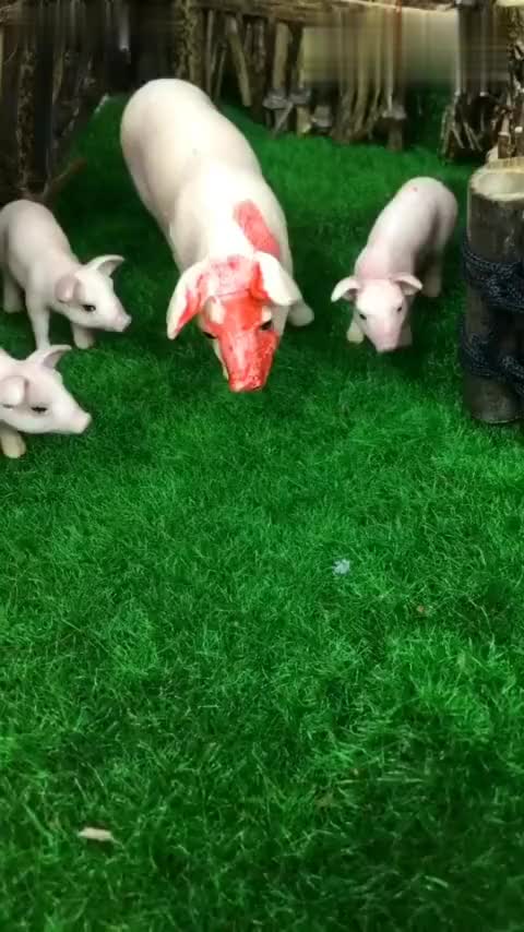 [2015夏季]童话法庭 01 三只小猪_土豆视频