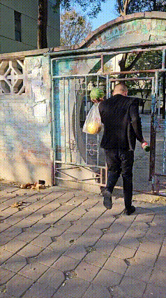 好不容易给老婆要了100块钱……妻给百元钞出门买西瓜捎带一瓶酒急忙赶回