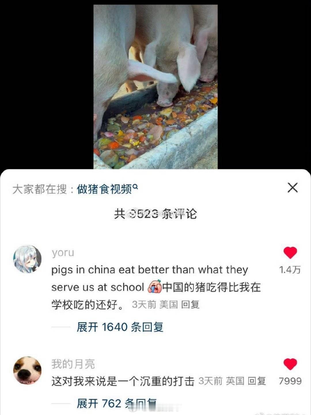 中美网友在小红书上热聊不能再对账下去了……万恶的资本主义。[大笑][大笑][哈