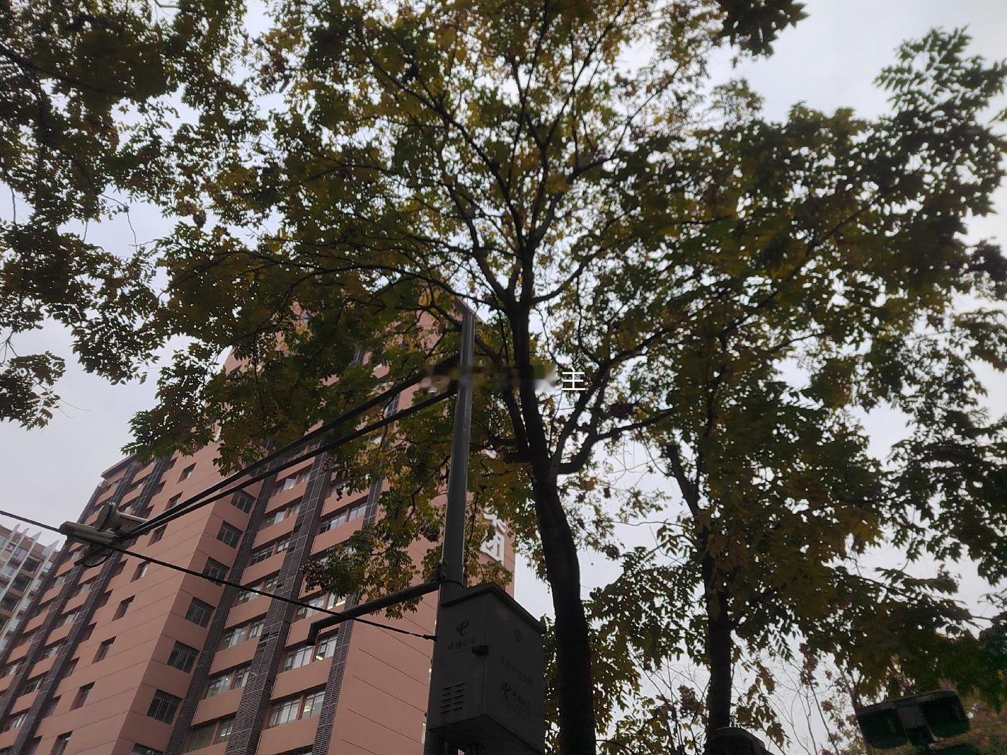 有一位网友发帖子说，“一山不容二虎”，中美两个超级大国早晚要决出胜负！他估计15到20年内，中美之中