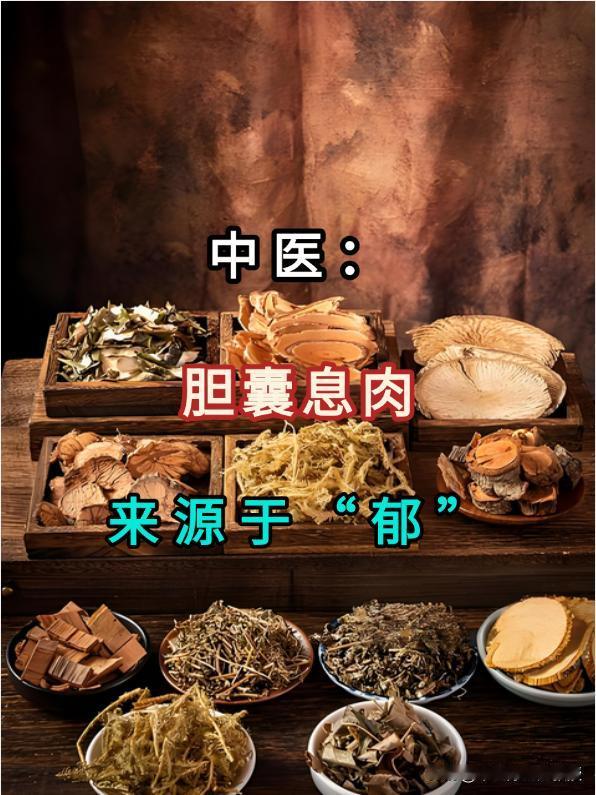 中翳解析：胆囊息肉源于“郁”胆囊息肉属于肝胆情志疾病，患者发病前多有情志不