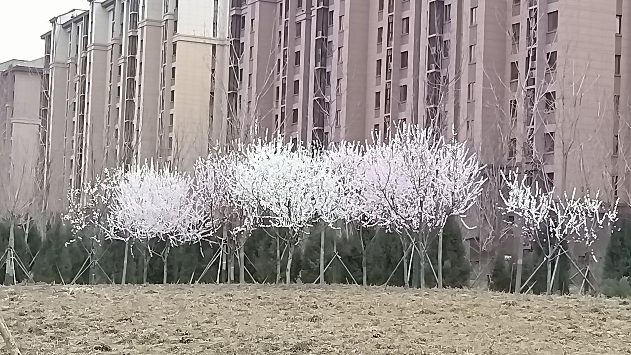 昨晚请几个朋友来家吃饭，其中一个朋友还带了一个女人，介绍是他朋友。饭桌上朋友和那