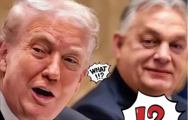 红军城丢失后，法国总统马克龙、德国总理默茨、英国首相斯塔默匆忙赶赴基辅与泽连斯基