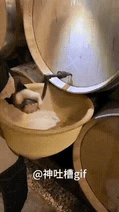 提前按个阀门很难吗？