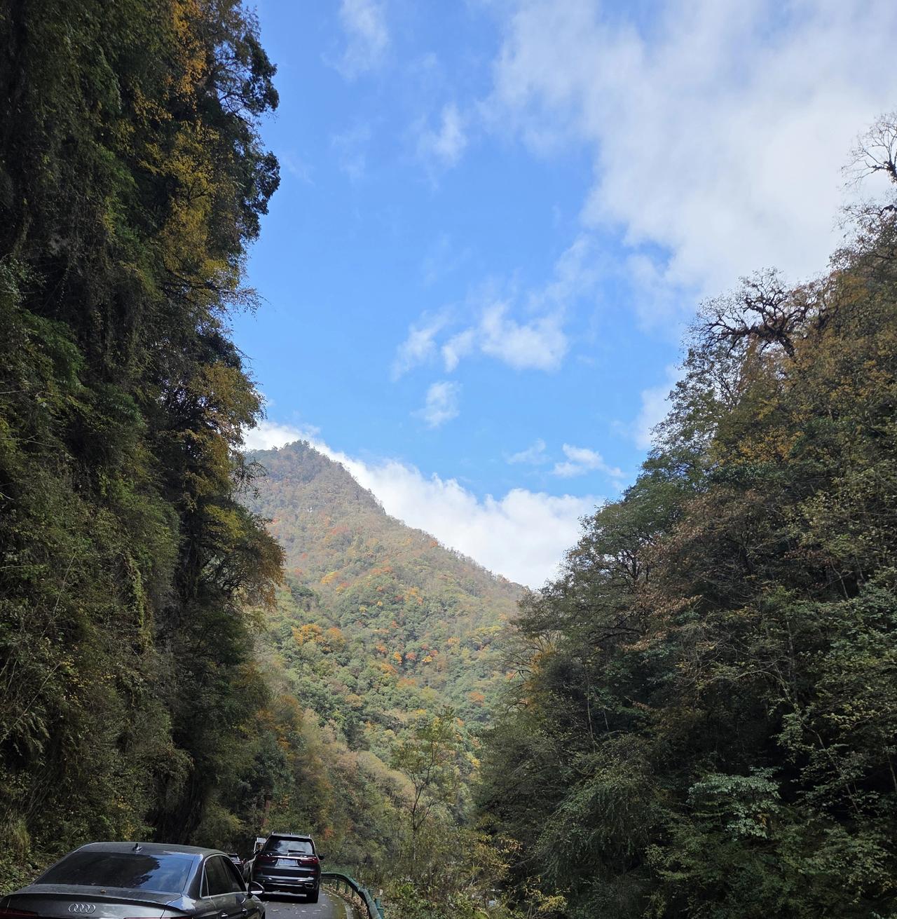 11月13日二郎山喇叭河拥堵惨状早上八点半从成都出发，到景区门口已经中午一点半