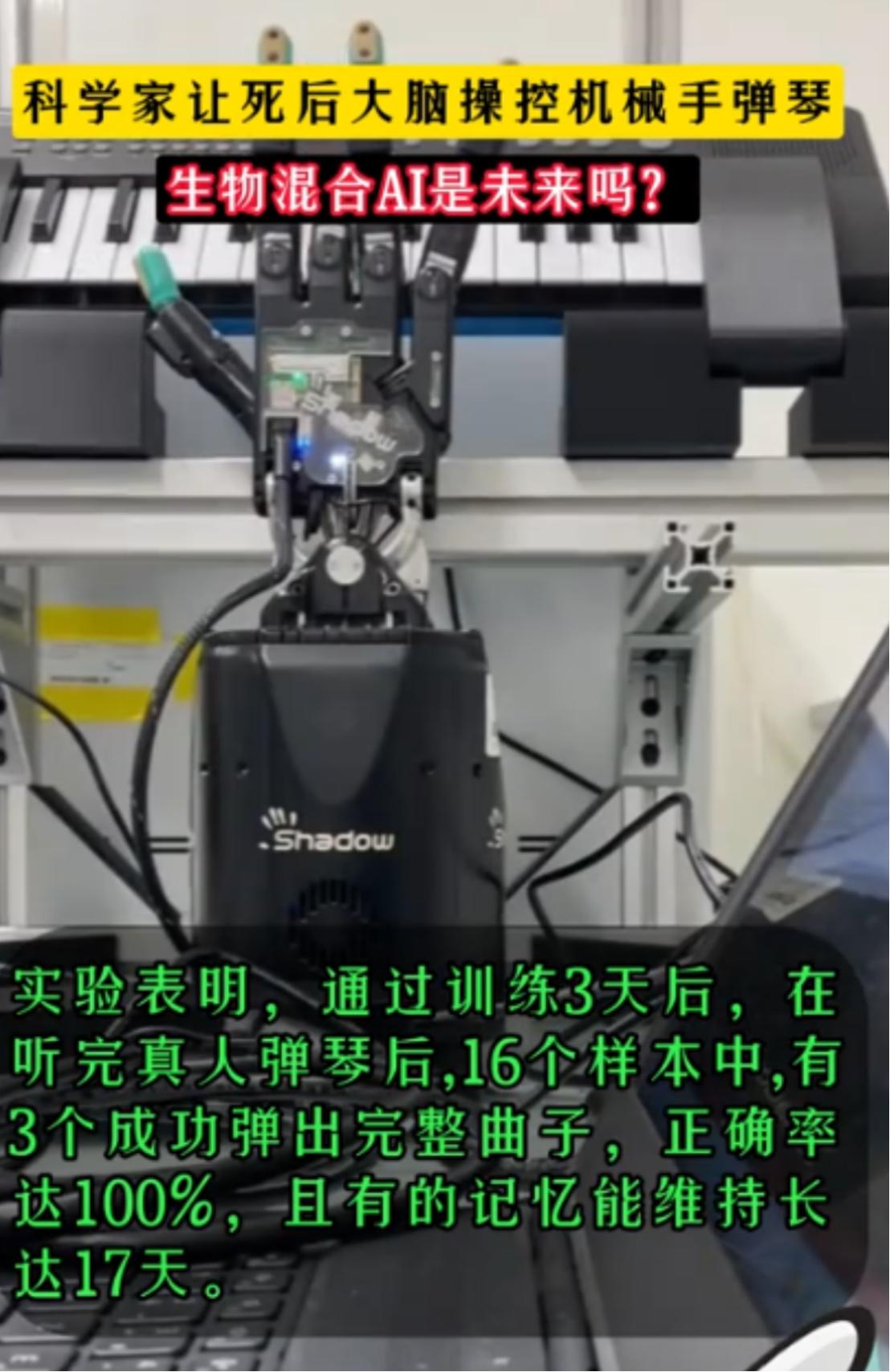 死去的人脑组织竟能重新学习？17天后还有记忆！法国科研团队最近把死后不到12小时