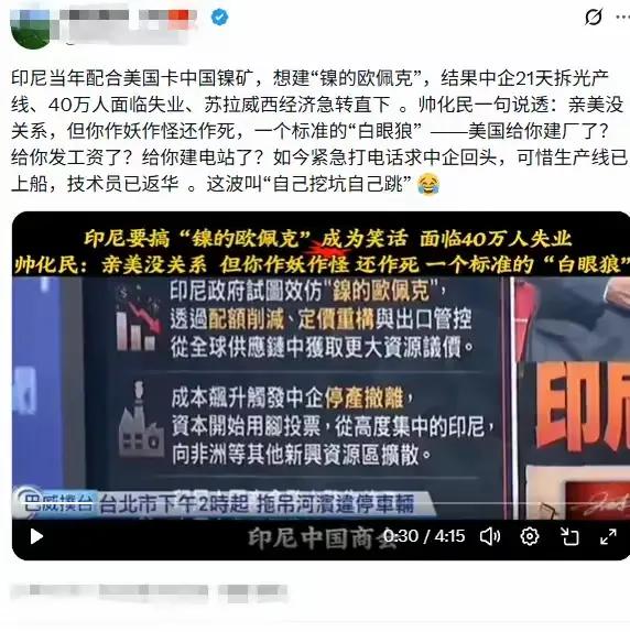 听信老美的妖言蛊惑，终于把自己作死了！老美给你钱了吗？给你建厂房了吗？给买设备