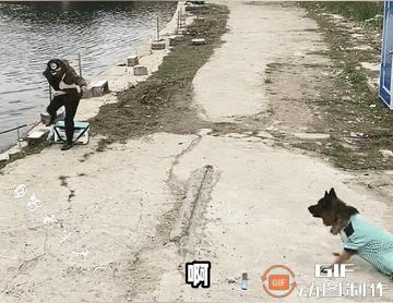 今天有肉肉吃，全都是狗狗的功劳……话不多说，今天必须给它整半条……