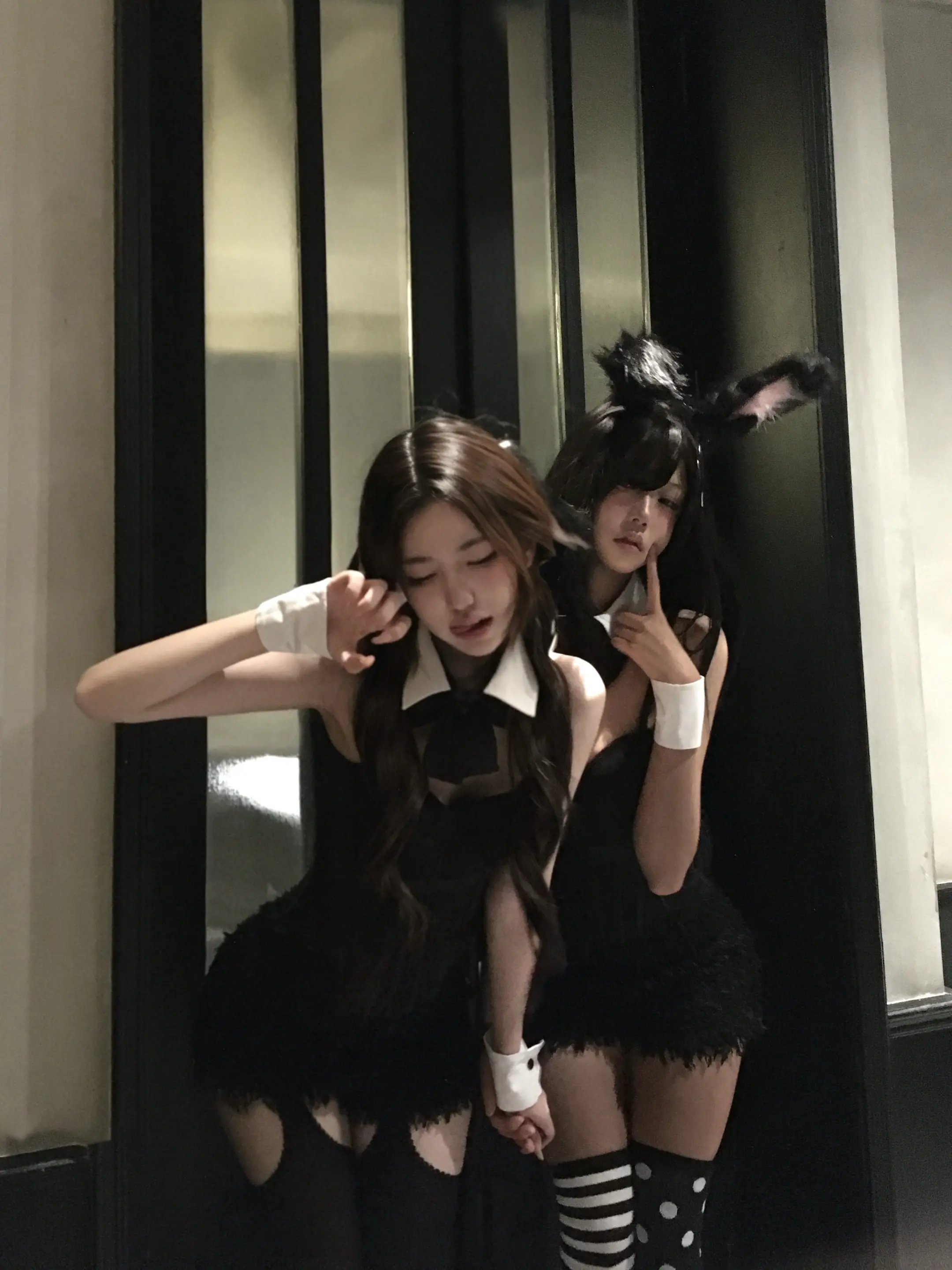 坏兔子组合