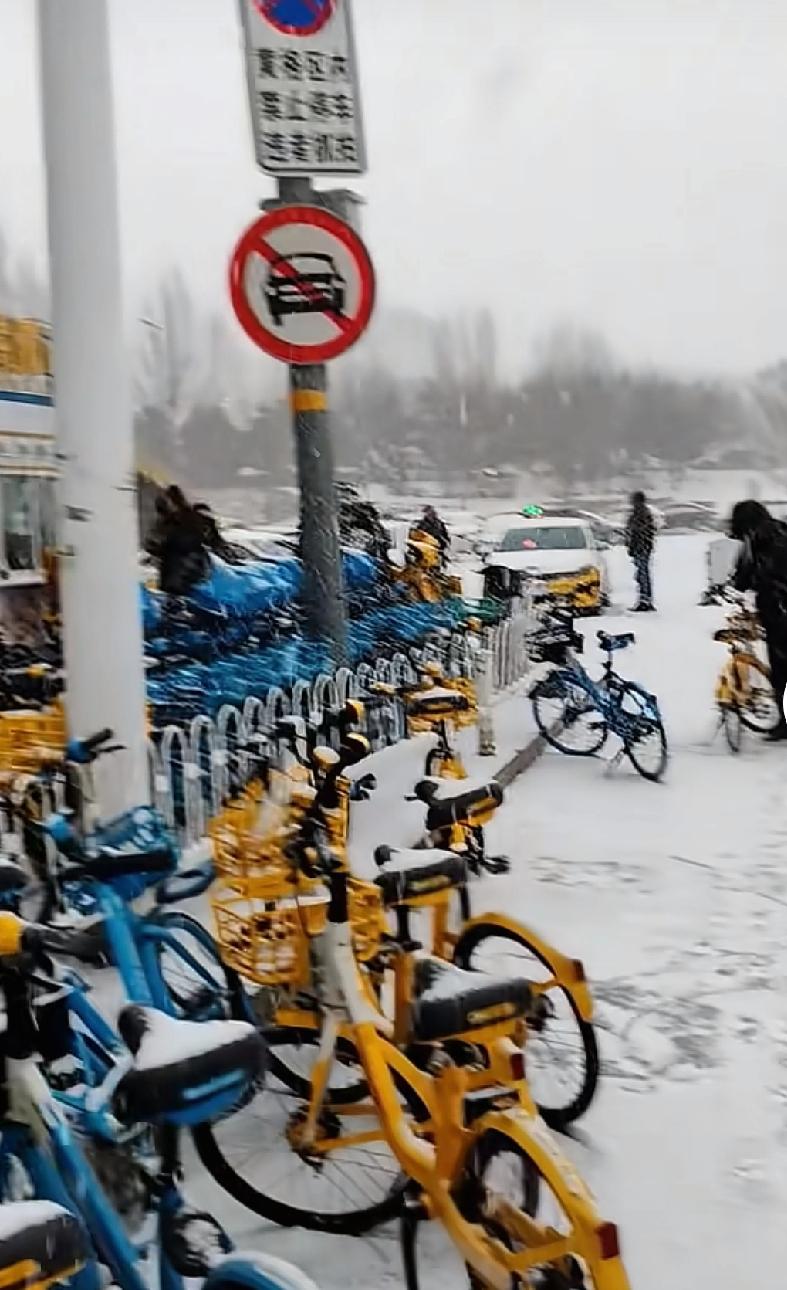 今天沈阳下雪了但作为沈阳人的我还是被一个外地朋友提醒的一大早，一位南方的朋友