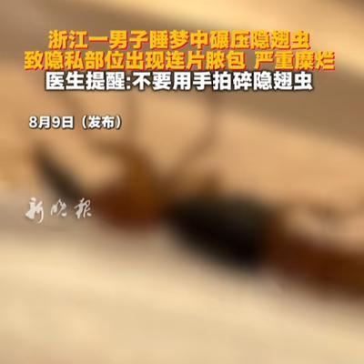 8月9日报道，浙江，一男子晚上睡觉的时候忘记了关窗户，一只隐翅虫飞了进来，好巧不