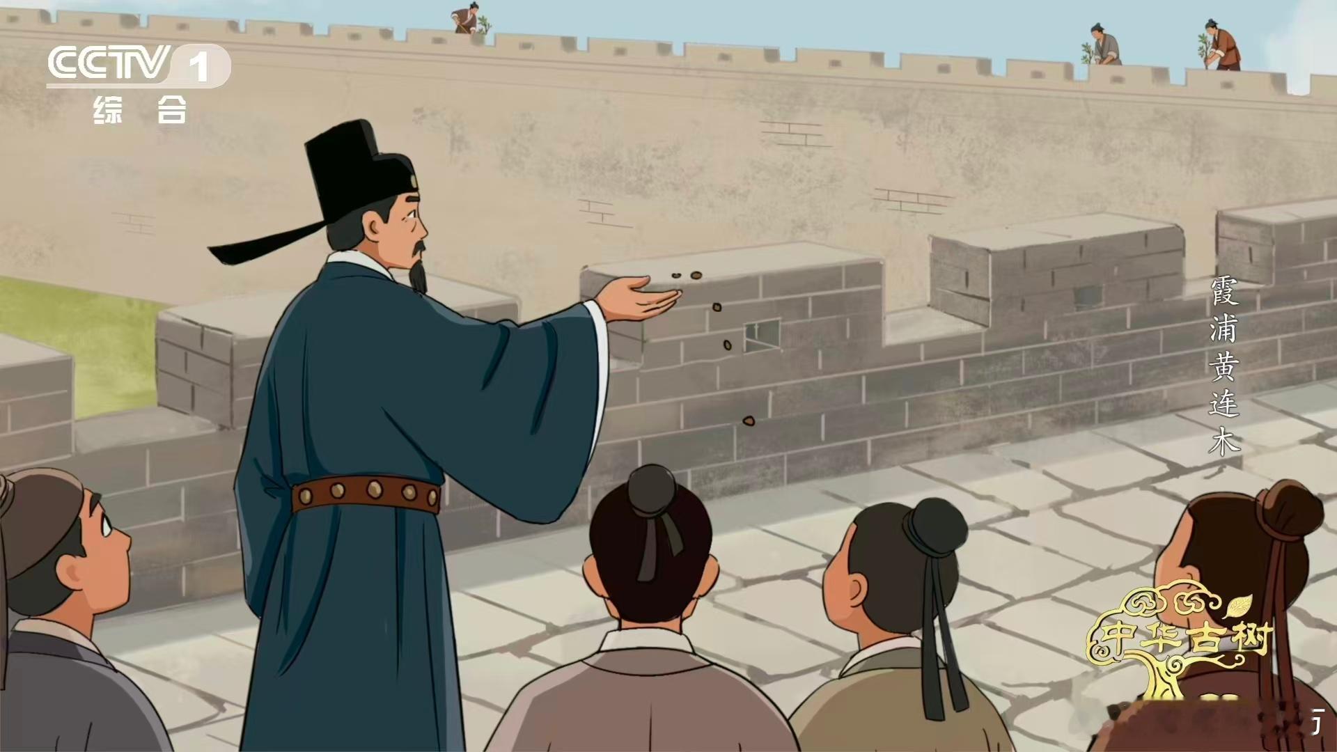 谁懂啊！古树根系穿石缝固古堡，这天然“结界”藏着古人的生存智慧～