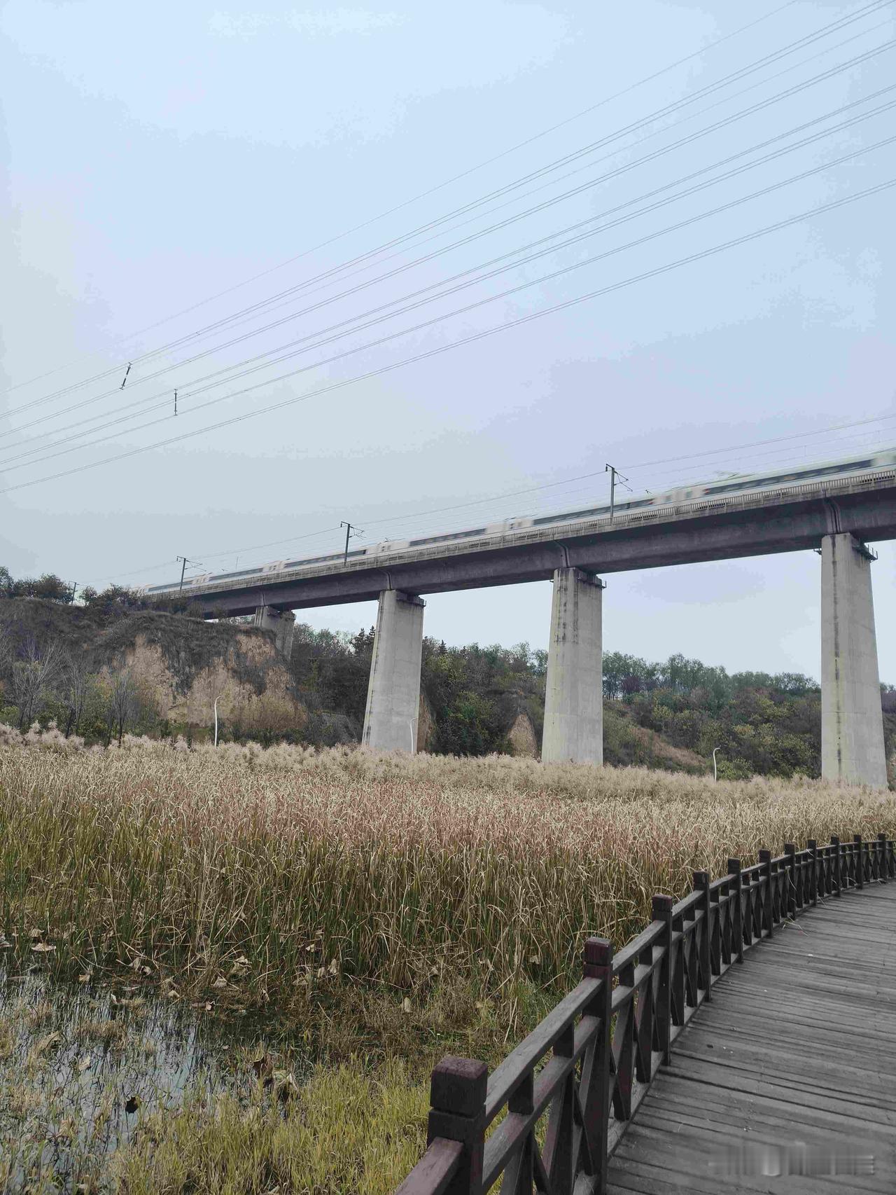 时下，有一个特殊群体就业似乎更难。这个群体就是女大学毕业生。现在女大学生找