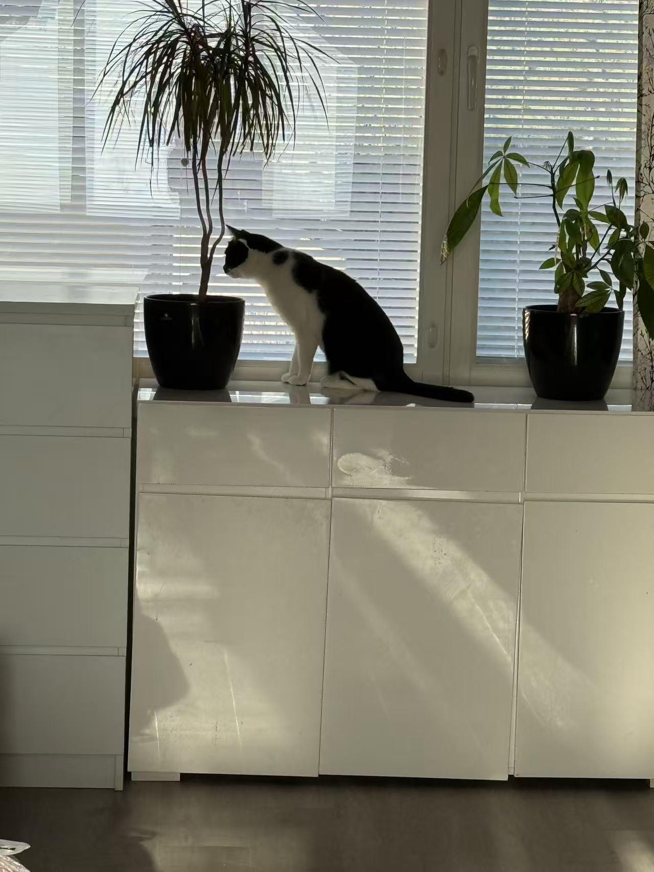 昨天发生了一点小事，就忘了发Happy到家的消息，让大家担心了不好意思！上海到