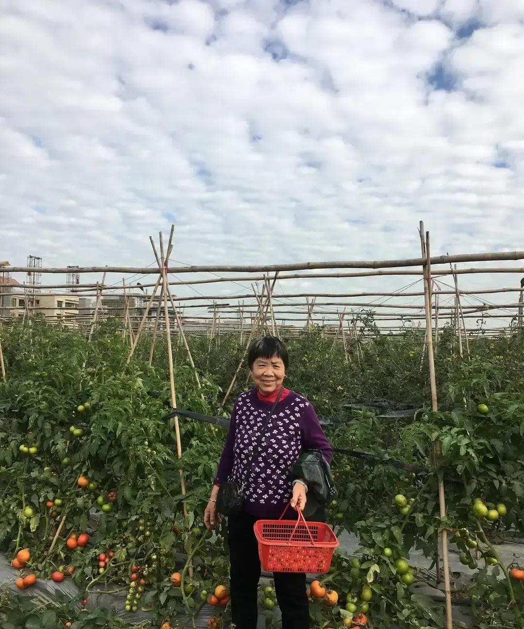 婆婆给儿媳带了两年娃，买菜做饭全包，还倒贴奶粉钱，结果一句“我只对生我的和我生的