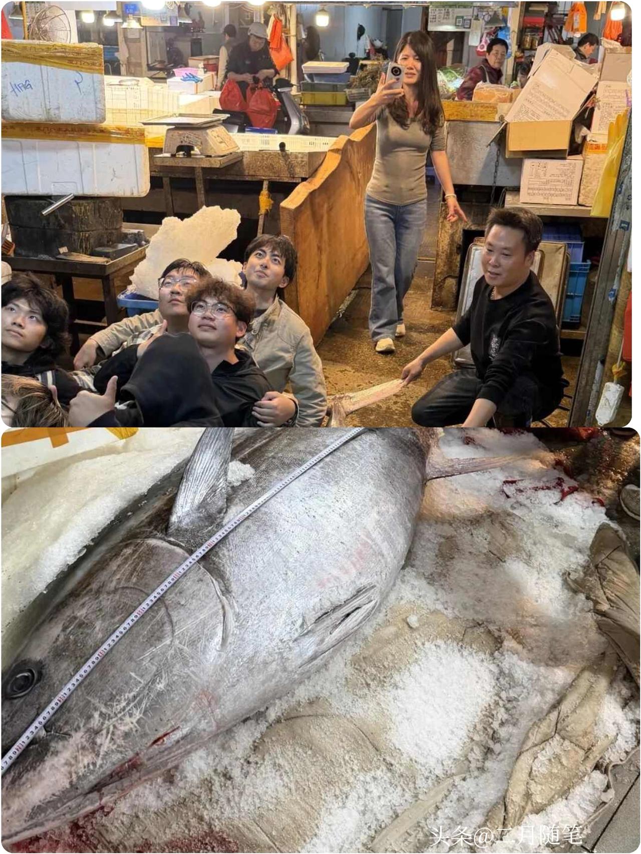 【惊！厦门渔民钓到"天价鱼王"，背后的故事让人心酸】500斤"海霸王"引