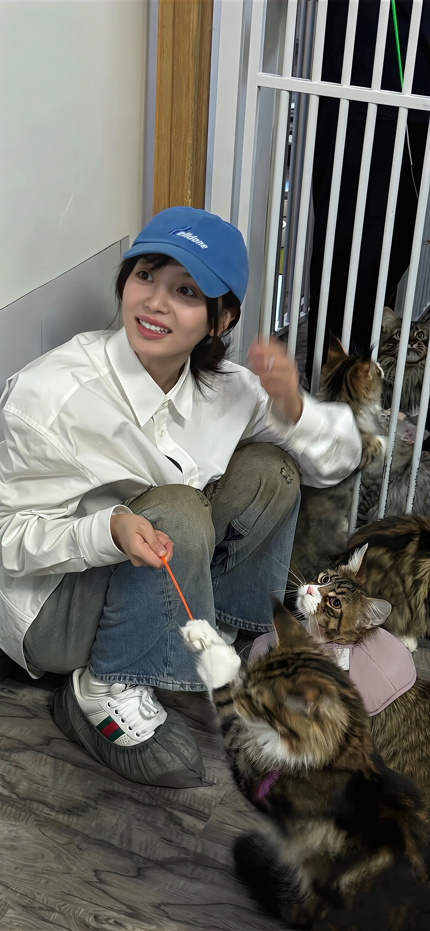 田曦薇壁纸田曦薇