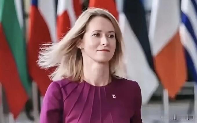 卡拉斯成为欧盟历史上首次被成员国首脑要求撤换的欧盟外长。1月11日，斯洛伐克总理