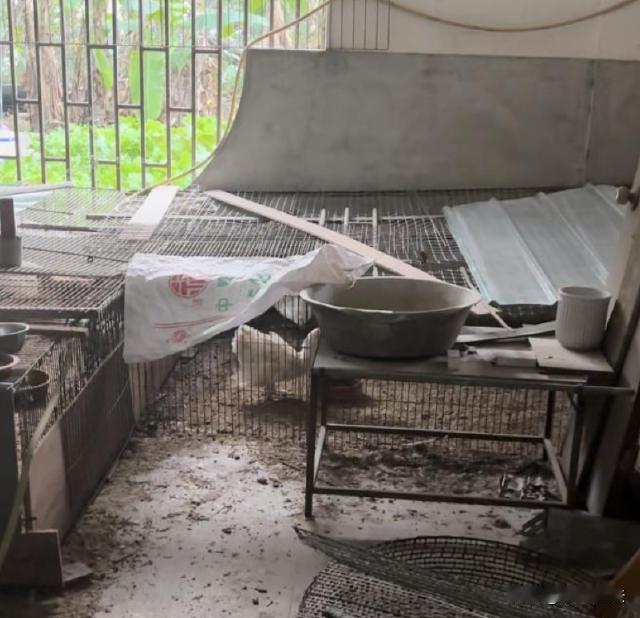 福建泉州，陈先生耗资500万建别墅，拥有私家花园、泳池，本来相当豪华。老人离世后