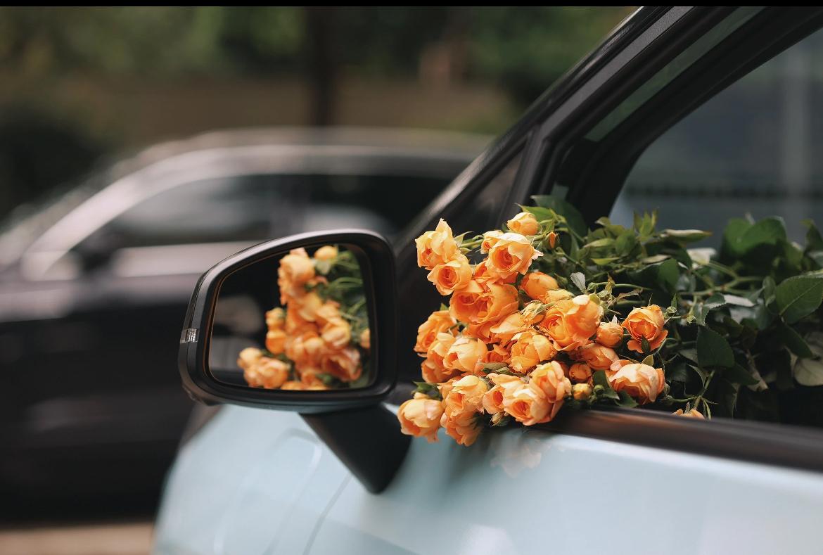 上联:勤勤恳恳种菜，求下联兢兢业业栽花