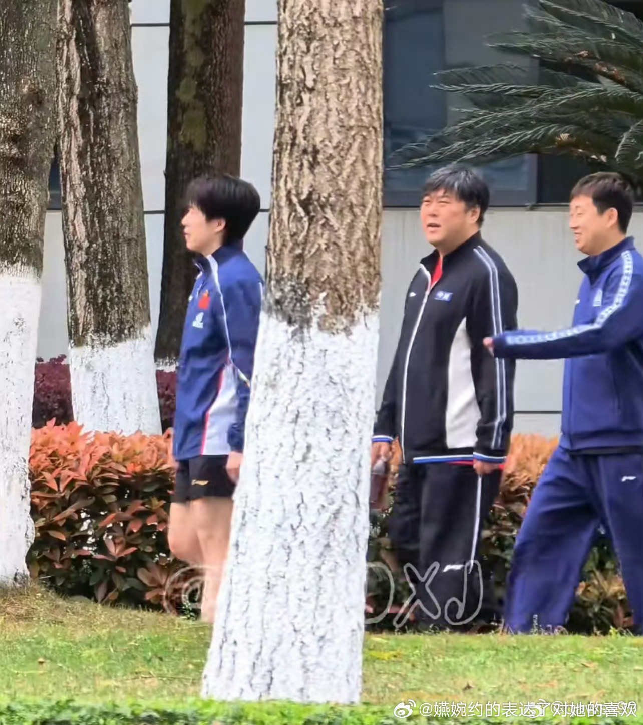 还有人意识不到么，共用继承教练可不是从这个周期开始的，再迟钝的莎头粉都看明白了