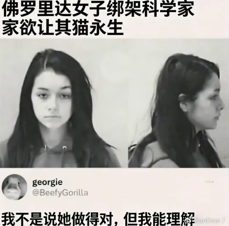 猫咪：人下辈子咪也跟着你