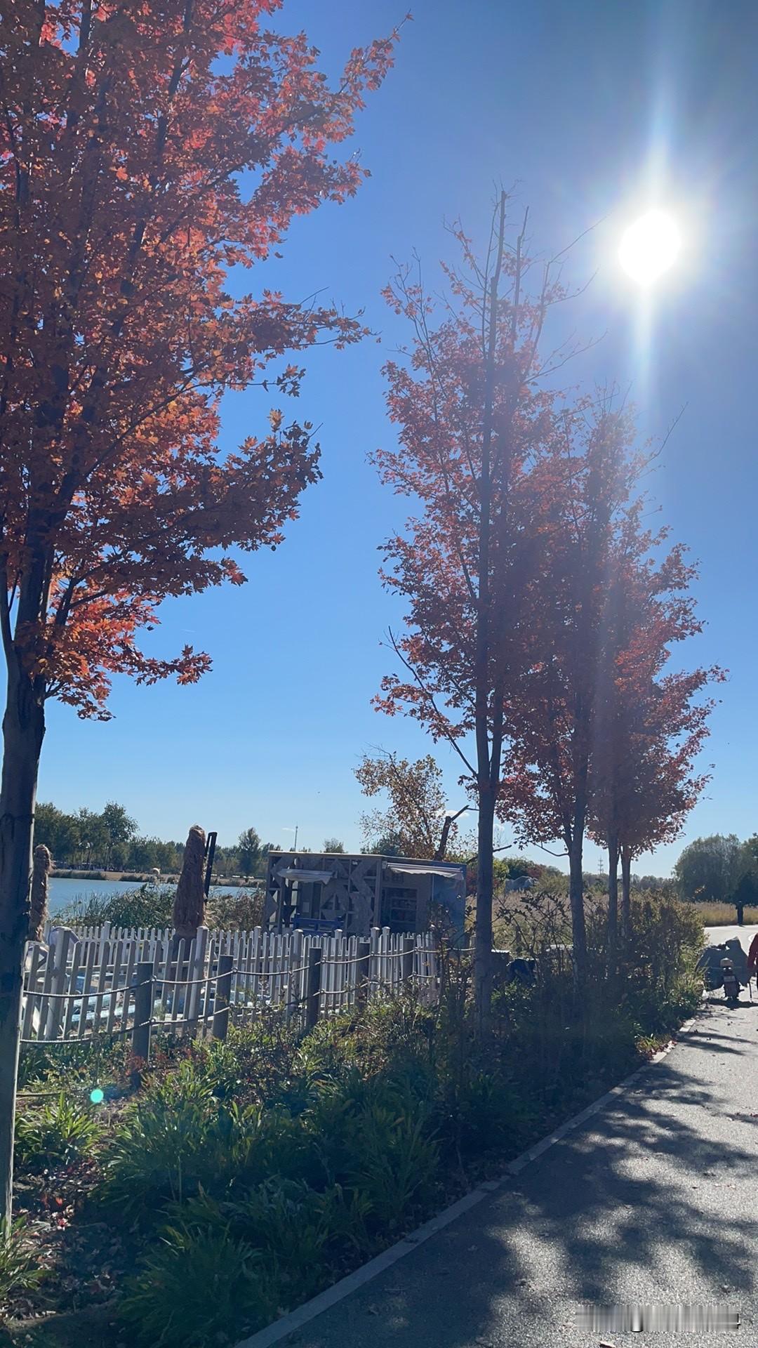 天气还是冷，昨天穿薄衣服出去立即就凉得受不了！中午蒸包子，一种是韭菜馅的包子，