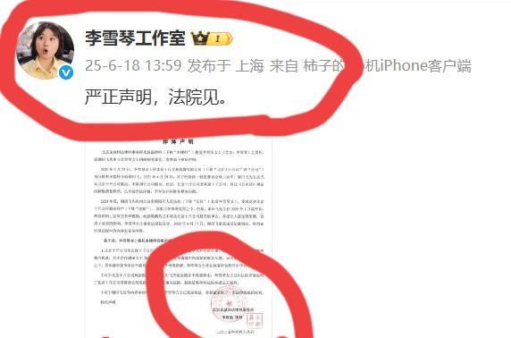 李雪琴直接回应法院见她聘用的律师事务所也是很有名气的，查了一下，金城同达（JT