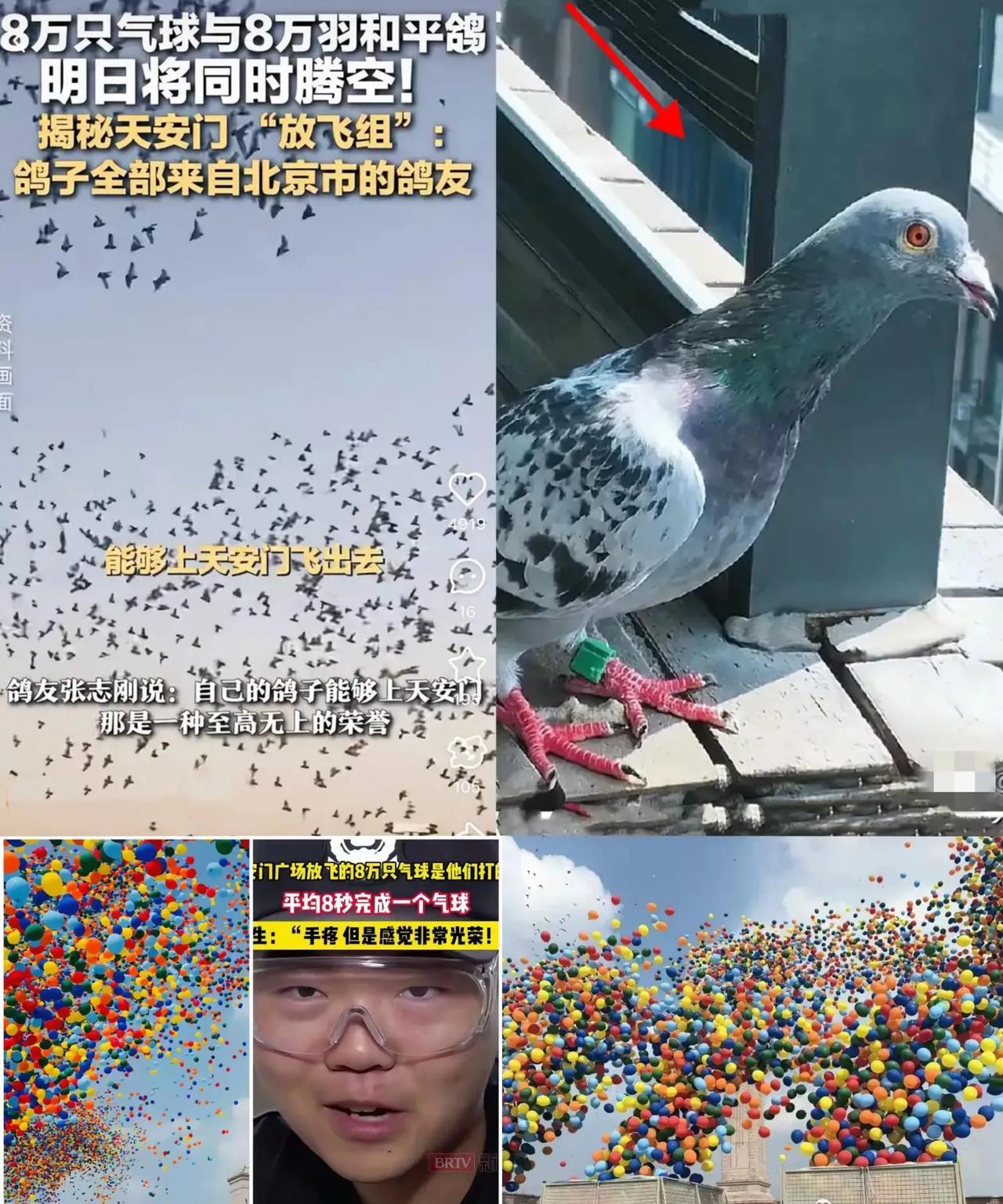 这下出名了，不止北京，连全国人民都知道了。8万只鸽子是借来的，8万只气球竟然是