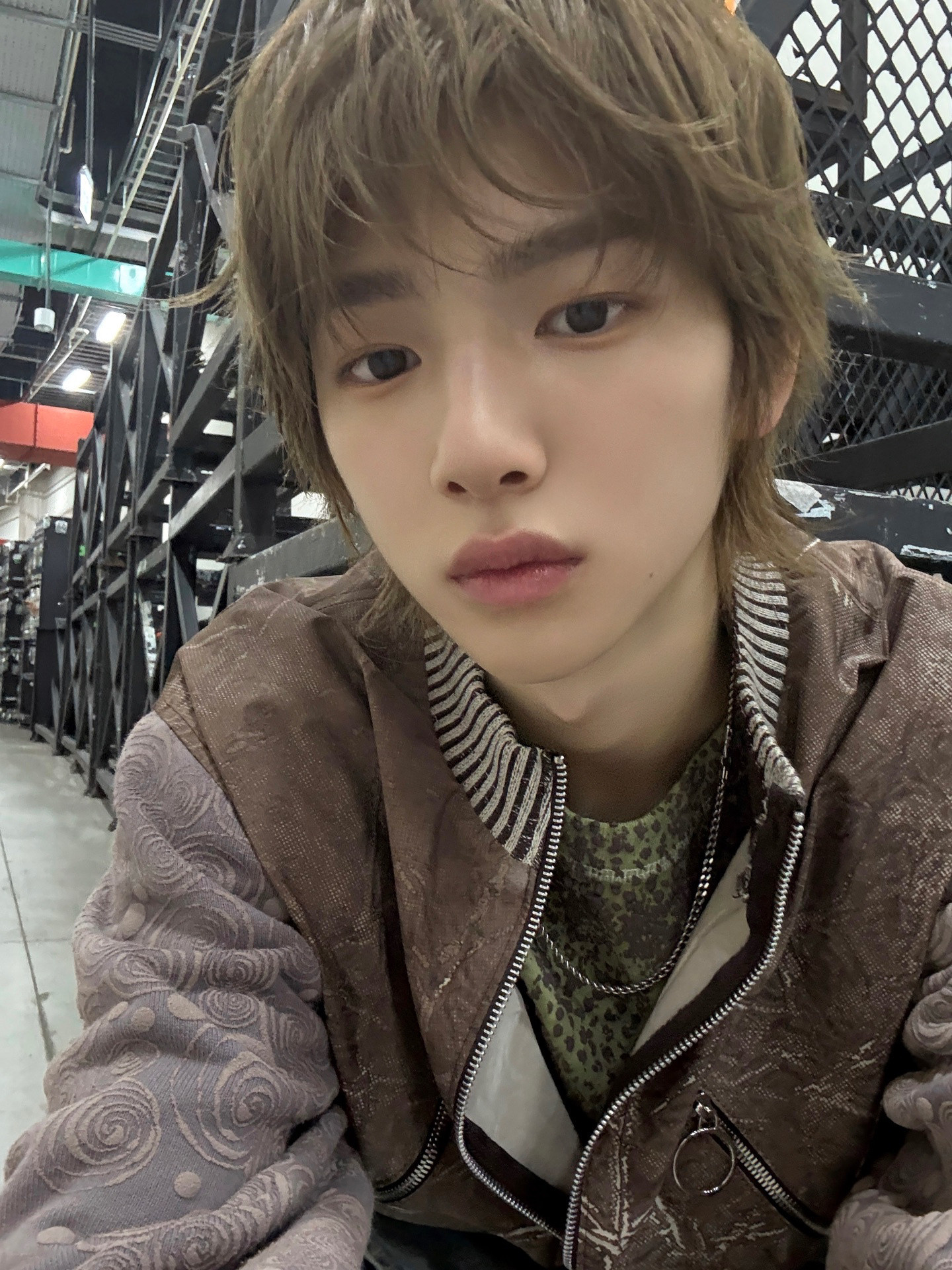 🐽地表最强冷脸萌