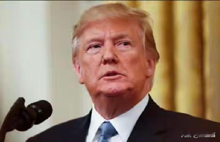 特朗普突然威胁要对尼日利亚动武？这事闹得挺大！当地时间11月1日，特朗普在自己的