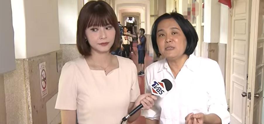 陈玉珍讽绿委：只敢批柯建铭不敢批赖清德被问到怎么看王世坚要柯建铭“知所进退