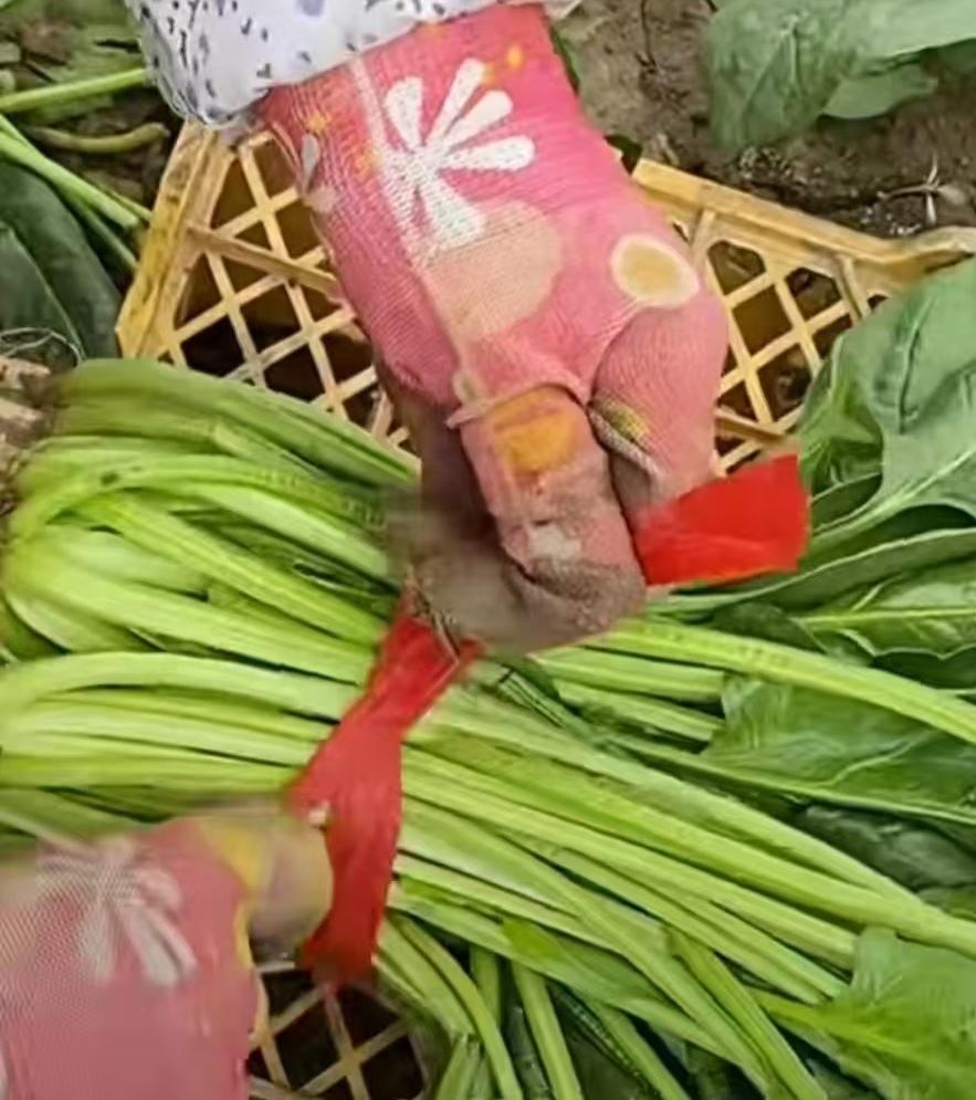 爱占便宜的人为啥不怕丢脸?今天去早市买菜看到了可笑的一幕:郊区