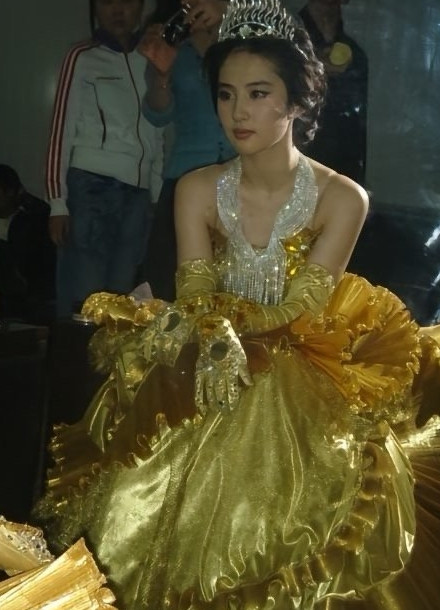 19岁的刘亦菲，金鹰女神候场。礼服和珠宝火彩都压不住的美貌，每一张都美我一大跳
