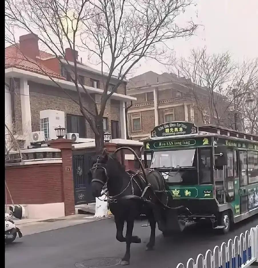 天津意式风情区那辆刷爆小红书的复古马车翻车了。游客拍到车底装着电机，马只是摆拍