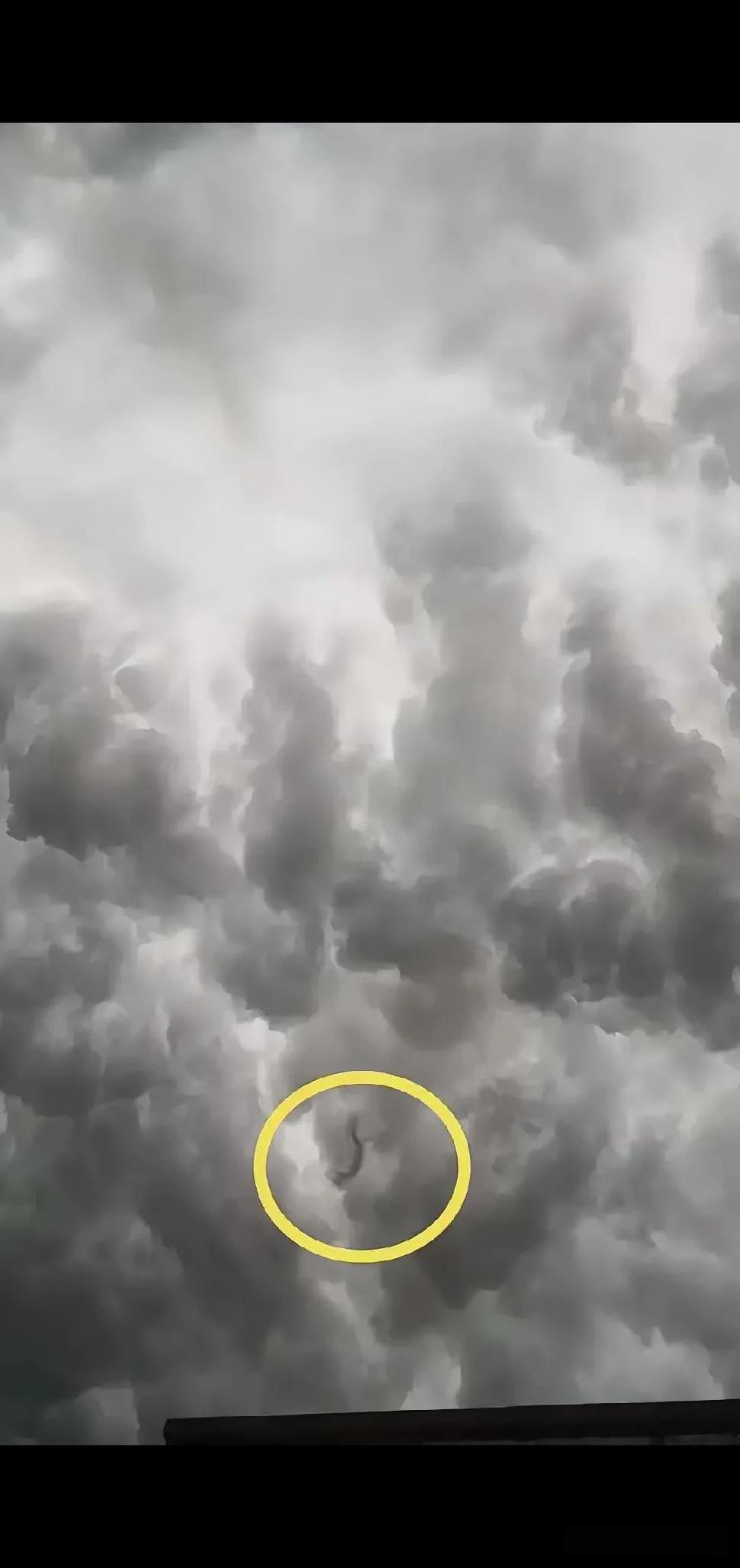 西安雷雨夜的一段不明飞行物视频在网上火了，画面里发光的东西引发网友热议，“真龙现