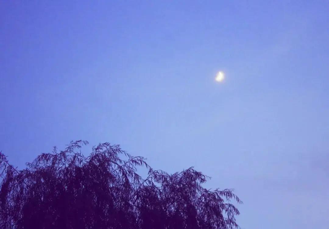 运的伏笔我们常常在夜深人静时反思：为什么努力这么久，却总觉得前路漫长而坎坷