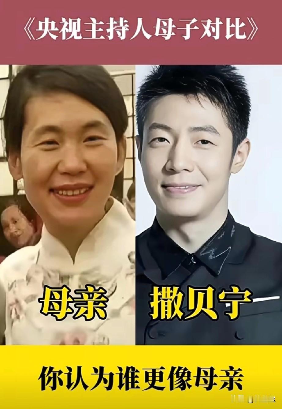 5位央视主持人母子颜值对比你认为谁更像母亲？哪一位母亲颜值更高？