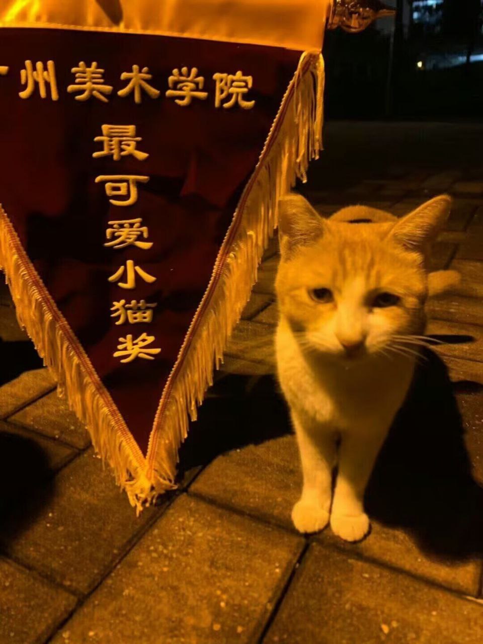 确实可爱👍​​​
