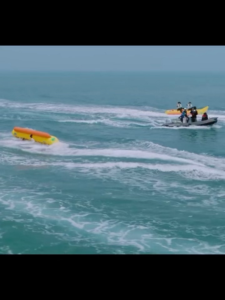 说什么来什么哈哈哈哈哈哈白鹿回应说完要游泳了就掉海里白鹿回应掉海里