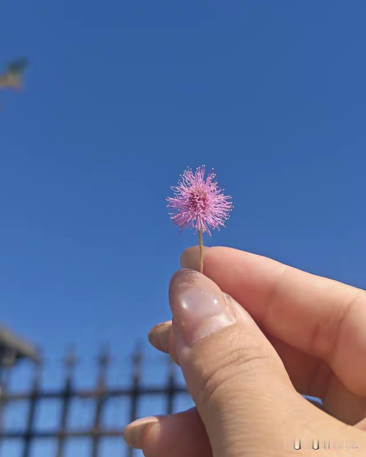 高速免费改革设想：取消节假日集中免费，改为每台车每年500公里免费额度今年